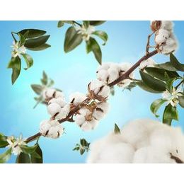 Aroma difuzér CUBE, Proti zvířecímu zápachu – Ovocno-květinová vůně, 125 ml