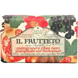 Nesti Dante - Frutteto Granátové jablko a černý rybíz, 250g