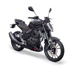 UM Xtreet 125