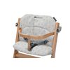 Bebe Confort Comfort Cushion Timba 2024
