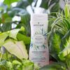 ATTITUDE Přírodní šampón Super leaves s detoxikačním účinkem 473ml