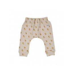 LODGER Jogger Flame Tribe Birch 68