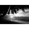 Samolepiaca fototapeta čiernobiely východ slnka na pláži v Karibiku