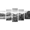 5-dielny obraz zamrznutý les v čiernobielom prevedení