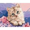 Maľovanie podľa čísiel roztomilé mačiatko