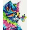 Maľovanie podľa čísiel pestrofarebná mačka