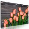 Obraz oranžové tulipány v jarnej záhrade