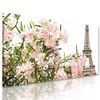 Obraz ružové kvety pod Eiffelovou vežou