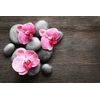 Fototapeta ružové kvety orchidey s kameňmi