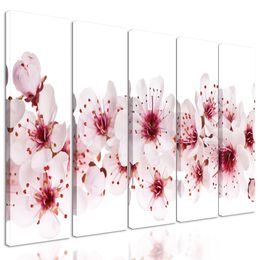 5-dielny obraz kvety čerešne na bielom pozadí