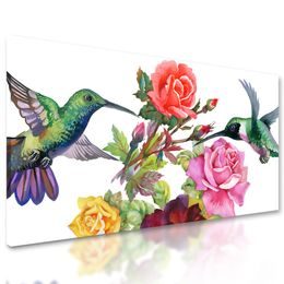 Obraz maľované kolibríky