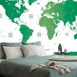 Samolepiaca tapeta podrobná mapa sveta v zelenej farbe