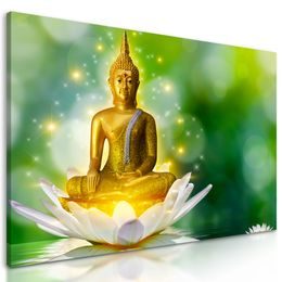 Obraz harmonický Budha
