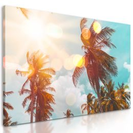 Obraz slnko predierajúce sa ponad palmy