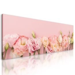 Obraz kvitnúce kvety na ružovóm pozadí