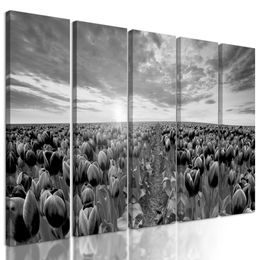 5-dielny obraz západ slnka nad rozkvinutými tulipánmi v čiernobielom prevedení