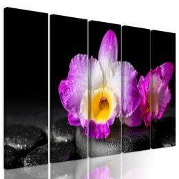 5-dielny obraz krásny kvet orchidei