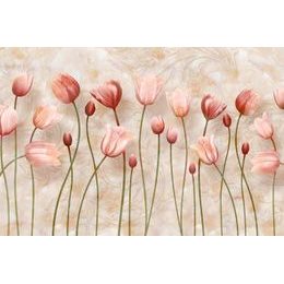 Samolepiaca tapeta jemnosť staroružových tulipánov