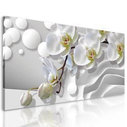 Obraz elegantný kvet orchidey na abstraktnom pozadí