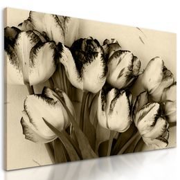 Obraz rozkvitnuté tulipány v sépiovom prevedení