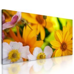 Obraz kvety v letných farbách