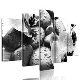 Obraz wellness kamene po daždi v čiernobielom prevedení