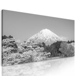 Obraz Japonská sopka Fuji v čiernobielom prevedení