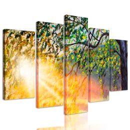 5-dielny obraz prebúdzajúci sa les v lúčoch slnka