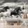 Očarujúca čiernobiela tapeta stádo cválajúcich koní