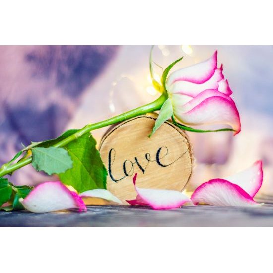 Obraz ruža a nápis Love