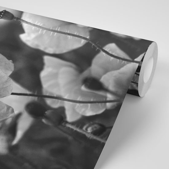 Nádherná čiernobiela samolepiaca fototapeta v objatí vlčích makov