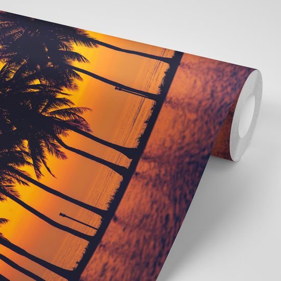 Samolepiaca tapeta palmy pri západe slnka