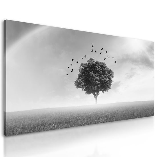 Obraz strom pod dúhou v čiernobielom prevedení