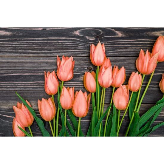 Obraz oranžové tulipány v jarnej záhrade