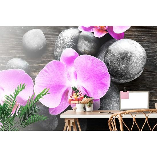 Fototapeta orchidea na zen kameňoch