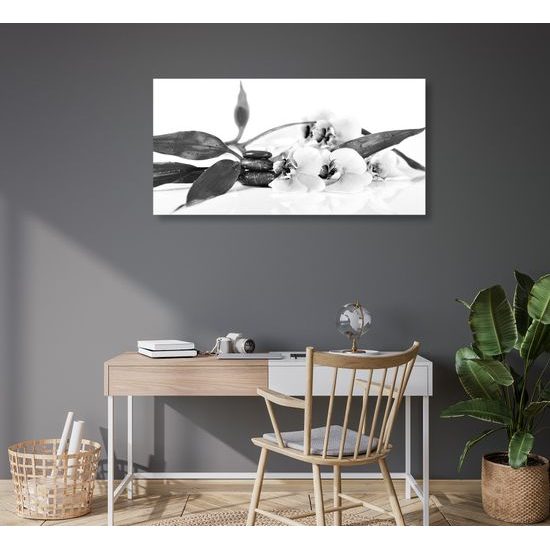 Obraz ukľudňujúce Zen zátišie s kvetmi orchidei v čiernobielom prevedení