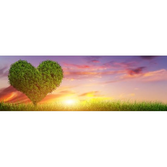 Obraz západ slnka za strom v tvare srdca