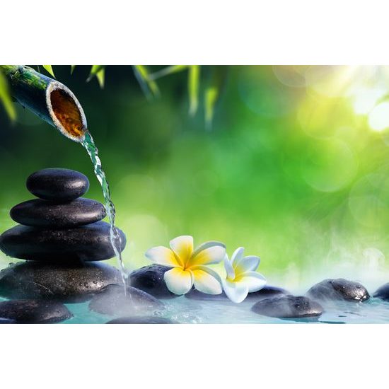 Obraz Zen kamenene v lesnom potôčiku