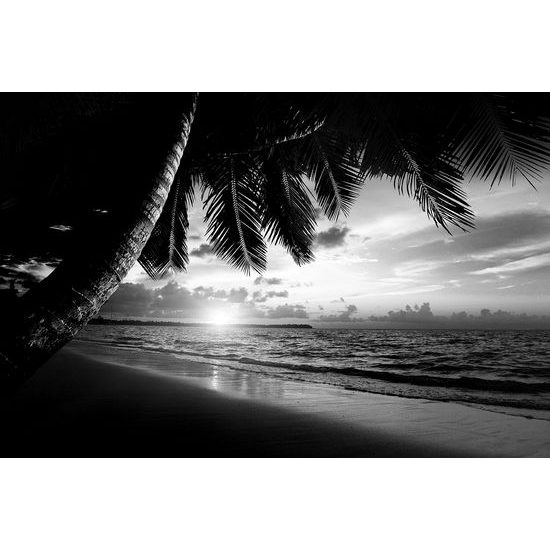 Fototapeta čiernobiely východ slnka na pláži v Karibiku