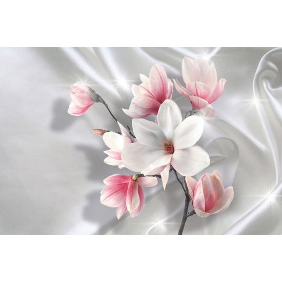Tapeta nádherné biele kvety magnólie