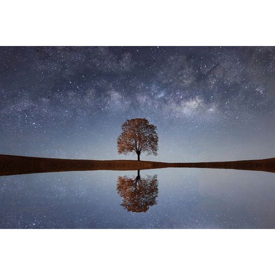 Nádherná fototapeta strom pod oblohou plnou hviezd