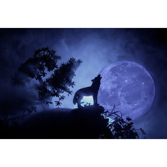 Obraz vytie vlka pri splne mesiaca