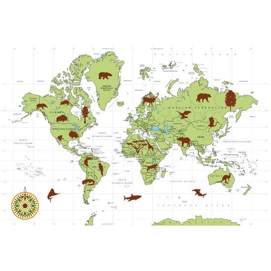 Obraz na korku mapa sveta s charakteristickými zvieratami