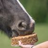 Animal Cake - Dort pro koně 440 g