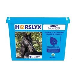 Horslyx minerální liz Mint