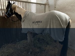 Testujeme pro vás - odpocovací deka Horseware Rambo Dry Rug