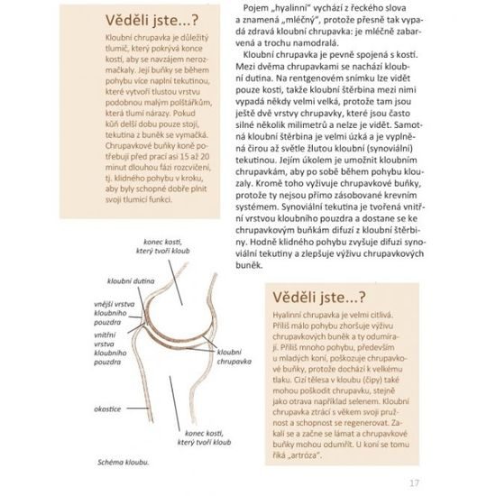 Publ Fritz Základní anatomie koní