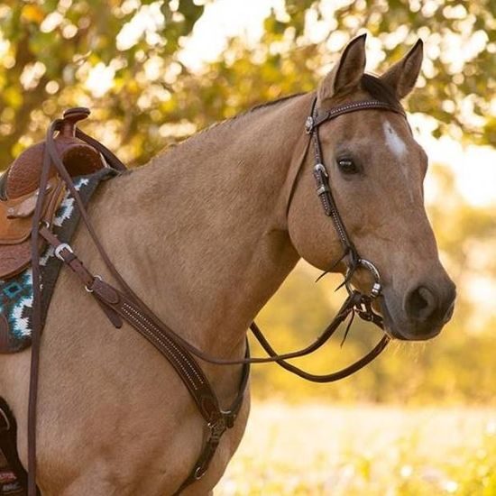 *W* Uzdečka westernová Weaver Austin Browband Headstall