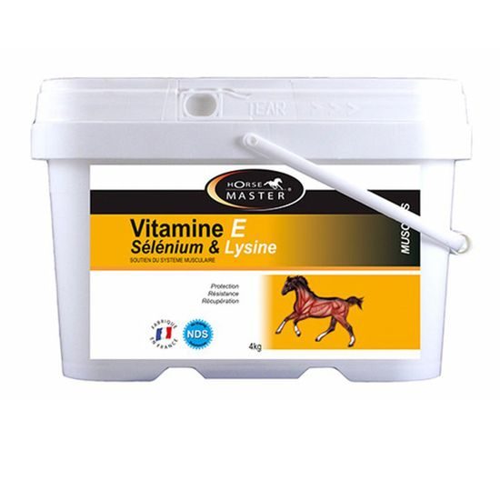 Horse MASTER Vitamin E + Selen + Lysin Powder 1 kg