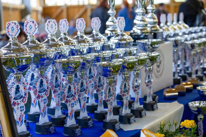Ako si vybrať perfektný športový pohár alebo trofej?